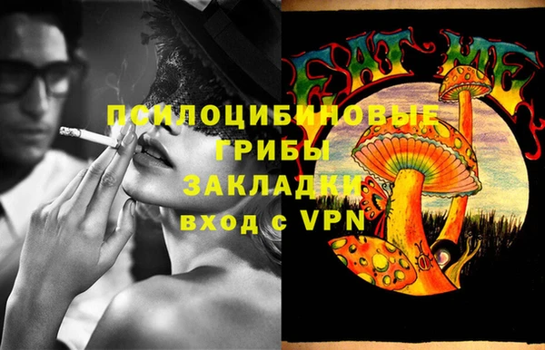 мяу мяу мука Алзамай