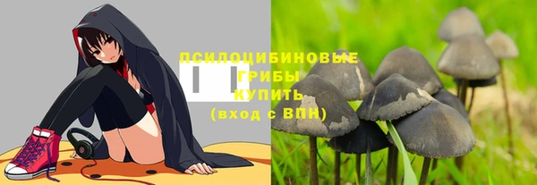 ALPHA-PVP Алексин