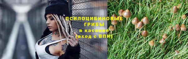 гидра Нязепетровск