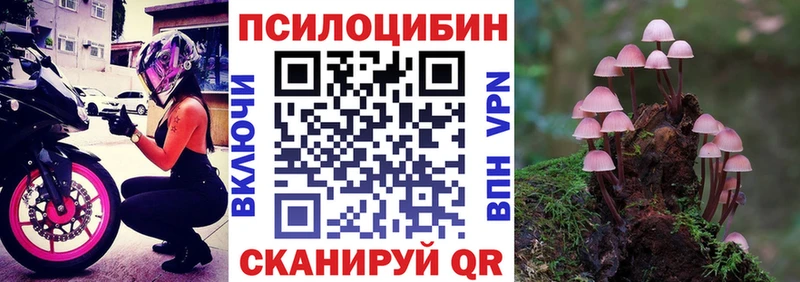 Галлюциногенные грибы MAGIC MUSHROOMS  Константиновск 